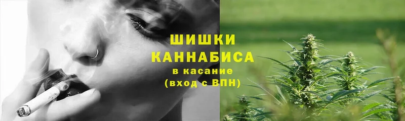 купить наркотики сайты  Армавир  Конопля VHQ 